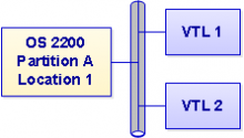 Single partition multiple VTLs
